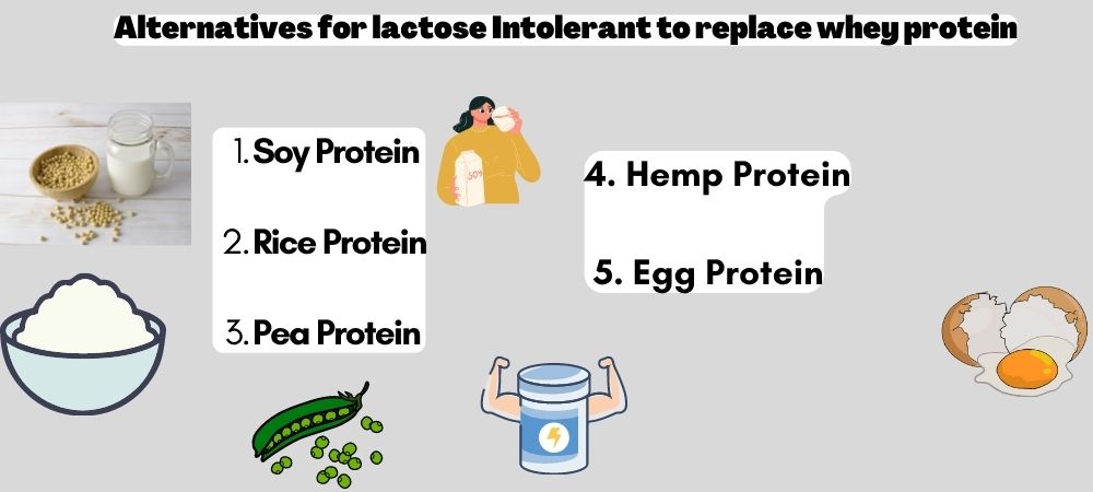 Whey alternative for lactose intolerance