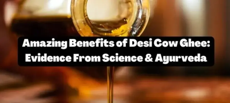 Scientific benefits of desi Cow Ghee