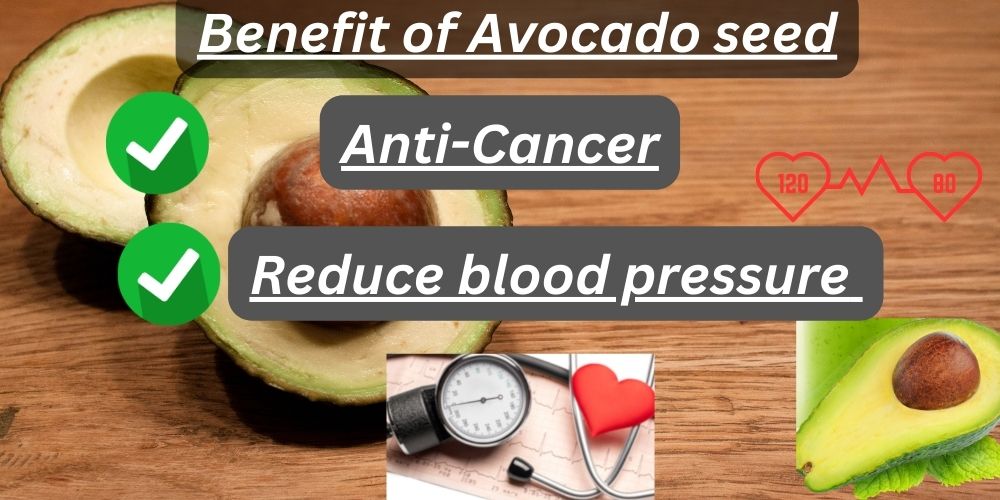 Surprising Benefits of Avocado Seed Scientific Evidences