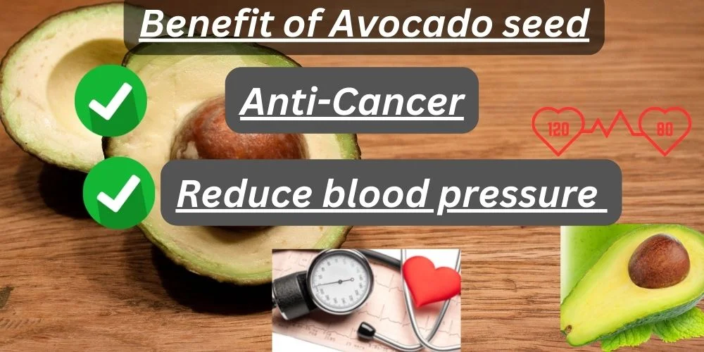 Benefits of Avocado Seed anticancer blood pressure