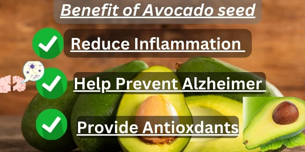 antioxidant anti inflammation benefits of avocado seed