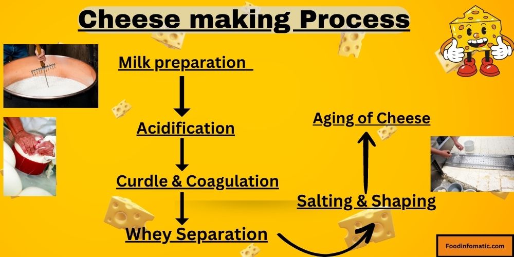 What is aged cheese? Exploring Process, Benefit, Risks 2023